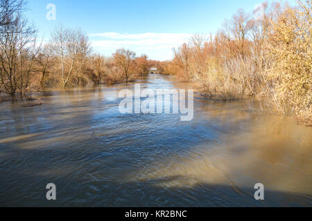 La rivière après les averses sont sortis des banques. L'inondation de rivière, arbres après une inondation Banque D'Images