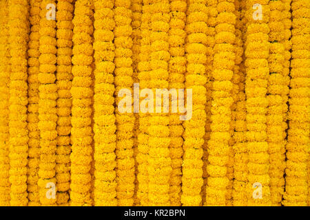 Fleurs de souci jaune fond garland Banque D'Images