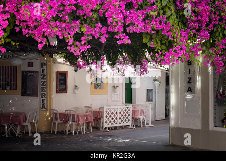 Vue d'une pizzeria place couverte de begonville fleurs dans vieille ville d'Ibiza. Banque D'Images