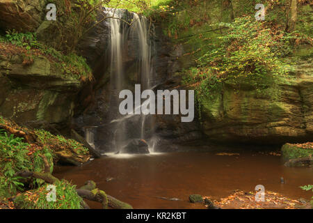 Roughting cascade de Linn, cachée dans un bois de Northumberland. Banque D'Images