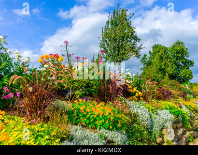 Rocaille dans un St-Fraimbault village normand dans l' Orne en été, France Banque D'Images