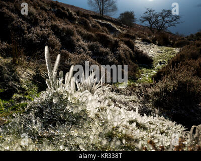 Formations de glace à côté d'une lande flux dans le Peak District, Derbyshire, Angleterre. Banque D'Images