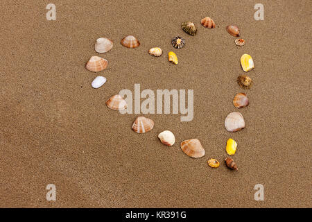 Forme de coeur dans le sable sur les faits de coquillages Banque D'Images