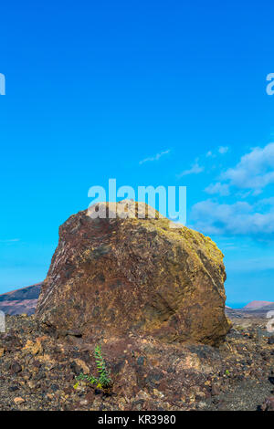 Bombe volcanique en face du volcan montana colorada à Lanzarote,tinajo Banque D'Images