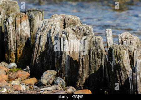 Épi Banque D'Images