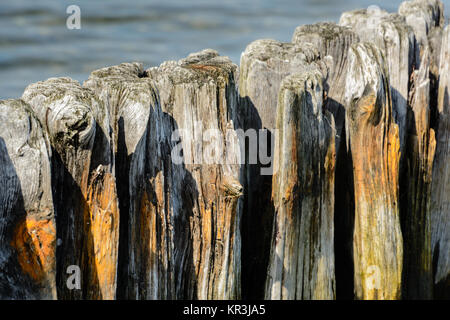 Épi Banque D'Images