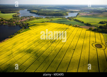 Grand champ de colza circulaire avec l'irrigation, Priepert, Mecklenburg Lake District, Rügen, Mecklembourg-Poméranie-Occidentale, Allemagne, Banque D'Images