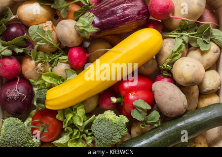 Courge jaune et d'autres légumes organiques dans un groupe coloré comme un style de vie sain Banque D'Images