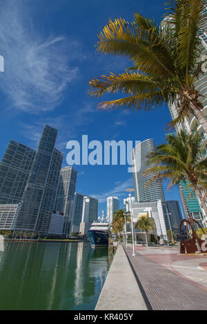 Centre-ville de Miami River Paysage urbain le long de la zone de Brickell. Prise de vue au grand angle avec des palmiers, des gratte-ciel et ciel bleu Banque D'Images