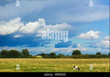 Paysage rural Banque D'Images