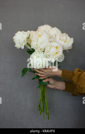 Mono magnifique bouquet de pivoines blanches luxuriants dans woman's hands sur fond gris Banque D'Images