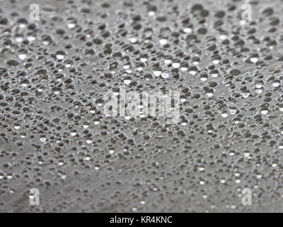 La condensation de l'eau en gouttes sous toit en plastique Banque D'Images