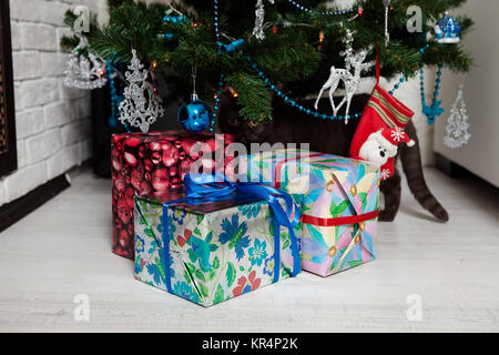 Bengal chat mignon jouant sous l'arbre de Noël Banque D'Images