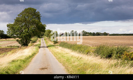 Un étroit chemin de campagne s'exécute à travers champs et terres agricoles à grande Gidding, sur la frontière de Huntingdonshire et le Northamptonshire, en Angleterre's Midlands. Banque D'Images