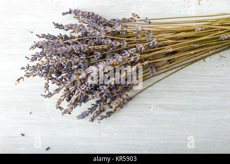 Bouquet de lavande sur le tableau Banque D'Images