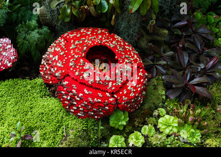 Fleur Cadavre est fait de briques en plastique emboîtables jouet. Fleur Cadavre est la plus grande fleur sur terre. Lily cadavre puant. Est Rafflesia arnoldii nom scientifique, Rafflesia kerrii. Banque D'Images