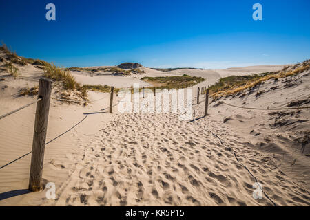 Déplacement des dunes park près de la mer baltique à leba, Pologne Banque D'Images