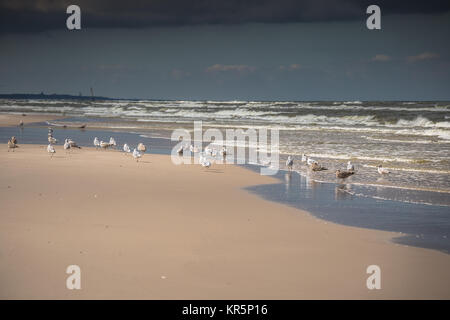 Vue d'une belle plage de sable de la ville de la mer baltique,leba, Pologne Banque D'Images