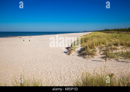 Déplacement des dunes park près de la mer baltique à leba, Pologne Banque D'Images