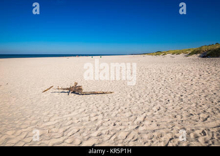 Plage de sable fin dans la ville de la mer baltique,leba, Pologne Banque D'Images