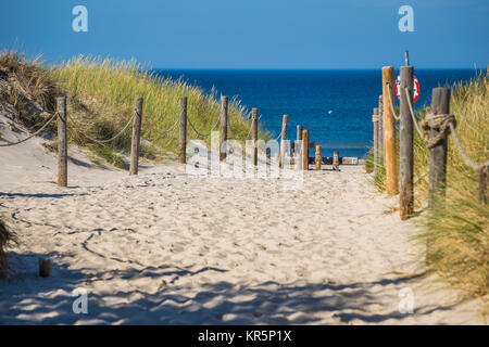 Les dunes de la parc national de slowinski en Pologne Banque D'Images