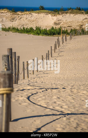 Les dunes de la parc national de slowinski en Pologne Banque D'Images