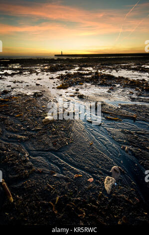 Sunderland, Royaume-Uni, 18 décembre 2017. La nuit claire skys apporté le gel et un très clair lever du soleil à Sunderland. Roker beach est couvert dans les algues marines à la suite des récentes tempêtes. (C) Paul Swinney/Alamy Live News Banque D'Images