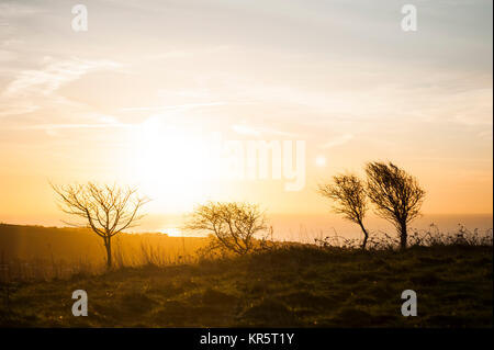 Brighton, East Sussex. Au 18 décembre 2017. Météo britannique. Un froid glacial et clair de commencer la journée à Brighton, East Sussex. Le reste de la journée semble devoir rester ensoleillé. Credit : Francesca Moore/Alamy Live News Banque D'Images