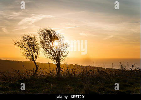 Brighton, East Sussex. Au 18 décembre 2017. Météo britannique. Un froid glacial et clair de commencer la journée à Brighton, East Sussex. Le reste de la journée semble devoir rester ensoleillé. Credit : Francesca Moore/Alamy Live News Banque D'Images