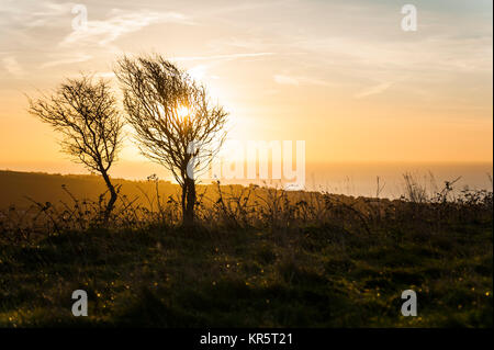 Brighton, East Sussex. Au 18 décembre 2017. Météo britannique. Un froid glacial et clair de commencer la journée à Brighton, East Sussex. Le reste de la journée semble devoir rester ensoleillé. Credit : Francesca Moore/Alamy Live News Banque D'Images