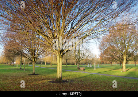 Wickford, Essex, Royaume-Uni. Au 18 décembre, 2017. Météo France : Tôt le matin vues de Wickford Memorial Park Crédit : Ben Recteur/Alamy Live News Banque D'Images