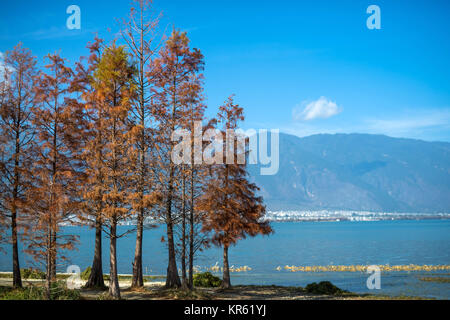 Dali. Dec 18, 2017. Photos prises le 18 décembre 2017 montre les paysages à Haishe park dans la préfecture autonome Bai de Dali. Credit : Hu Chao/Xinhua/Alamy Live News Banque D'Images