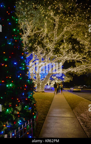 Johnson City, USA. 18 Déc., 2017. Au cours des 28 dernières années Johnson City a illuminé la ville avec leurs lumières de Noël. Plus d'un million de lumières remplir trois pâtés de maisons y compris le palais, City Park et ​Pedernales Electric Co-op l'administration centrale. ​​ Sidney Bruere/Alamy Live News Banque D'Images