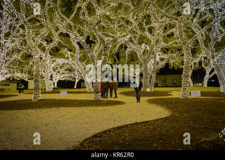 Johnson City, USA. 18 Déc., 2017. Au cours des 28 dernières années Johnson City a illuminé la ville avec leurs lumières de Noël. Plus d'un million de lumières remplir trois pâtés de maisons y compris le palais, City Park et ​Pedernales Electric Co-op l'administration centrale. ​​ Sidney Bruere/Alamy Live News Banque D'Images