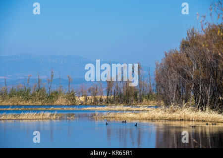 Dali. Dec 18, 2017. Photos prises le 18 décembre 2017 montre le paysage au Lac Erhai dans la préfecture autonome Bai de Dali, dans le sud-ouest de la province chinoise du Yunnan. Credit : Hu Chao/Xinhua/Alamy Live News Banque D'Images