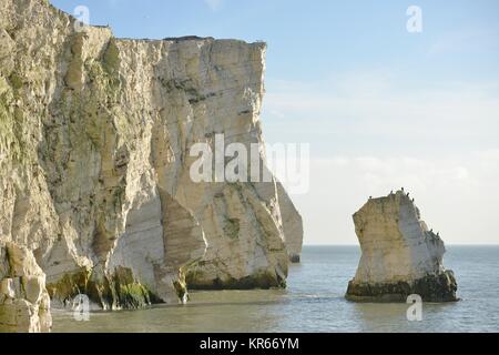 Ingelmunster, East Sussex, UK. Déc 19, 2017. Les cormorans profitant du soleil d'hiver lumineux sur des rochers près de la mer, plage de Seaford Sussex EAS. Crédit : Peter Cripps/Alamy Live News Banque D'Images