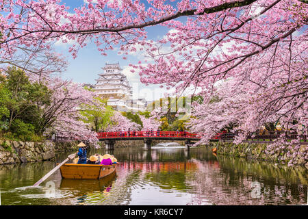 Himeji, Japon à Himeji Castle dans la saison du printemps. Banque D'Images