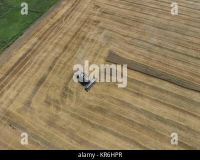 La récolte du blé harvester Banque D'Images