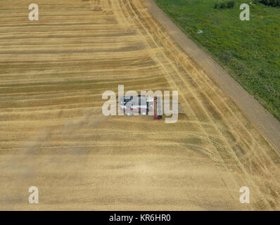 La récolte du blé harvester Banque D'Images