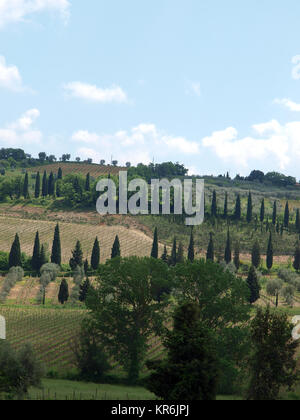 Les collines autour de Abbaye de Sant'Antimo Banque D'Images