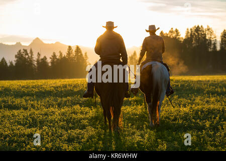 Deux cowboys à cheval dans une prairie au coucher du soleil. Banque D'Images