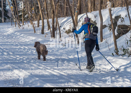 Montréal, CA - 17 décembre 2017 : La fondeuse et son chien dans le parc du mont Royal en hiver. Banque D'Images