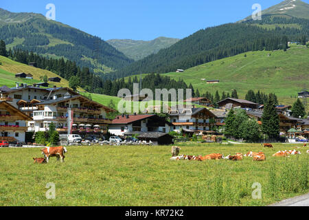 Gerlos, Tyrol/ Autriche 16 juillet 2013 : Alpes européennes et village Gerlos au Tyrol (Autriche). Zillertal Arena. Vaches se reposant en gras à l'avant. Banque D'Images