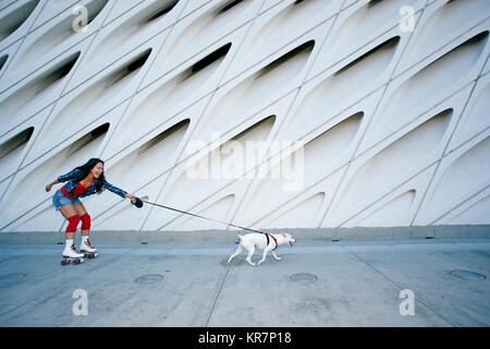 Chien tirant sur femme asiatique rollerskates Banque D'Images