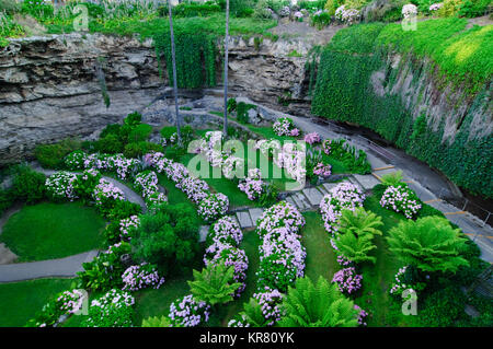 La grotte Jardins en Umpherston Sinkhole, Mount Gambier, Australie du Sud, Australie Banque D'Images