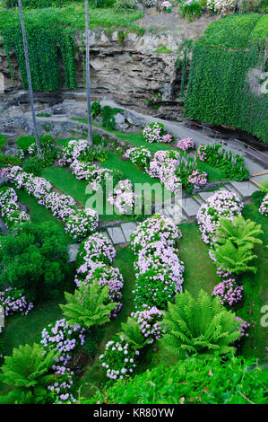 La grotte Jardins en Umpherston Sinkhole, Mount Gambier, Australie du Sud, Australie Banque D'Images