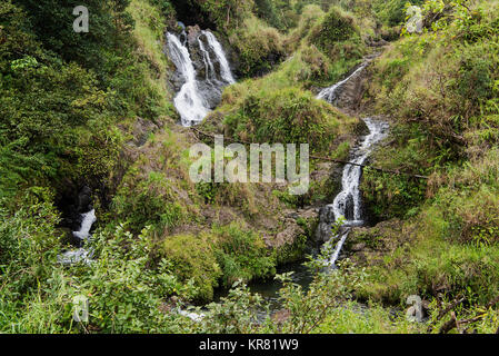 L'une des nombreuses cascades le long de la route panoramique à Hana, Maui Banque D'Images