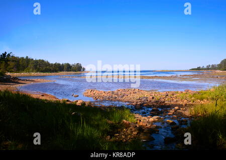 La baie de la mer entouré de forêts et de plages. Novososnovy Bay, la mer Blanche, l'île de Solovetsky Bolchoï Banque D'Images