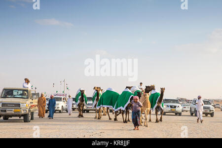 Le Madinat Zayed, Emirats Arabes Unis, Décembre 15th, 2017 : arabe avec son chameau dans un désert Banque D'Images