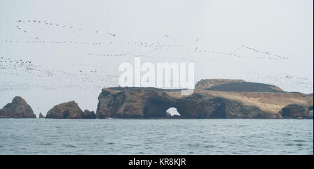 Iles Ballestas Vue panoramique avec flocage oiseaux dans le ciel, au Pérou Banque D'Images